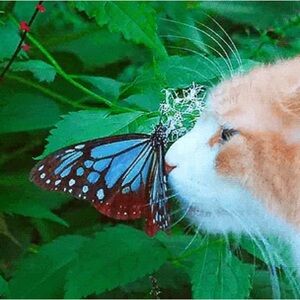 Welcome to my closet!💕